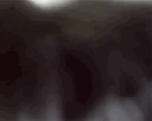 A gif of a monkey looking downwards repeatedly jumping on the camera.